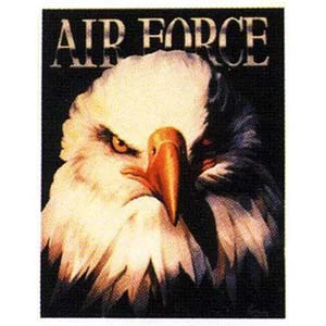 Air Force Eagle Poster P-8
