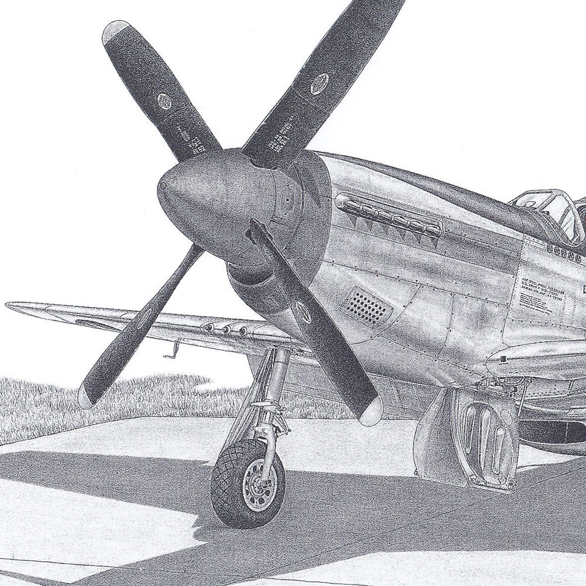 Kinsley P-51D 7x11 Matted Print - Image 2