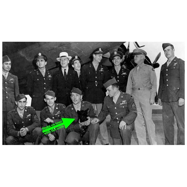 Memphis Belle Stuka Plush - Image 4