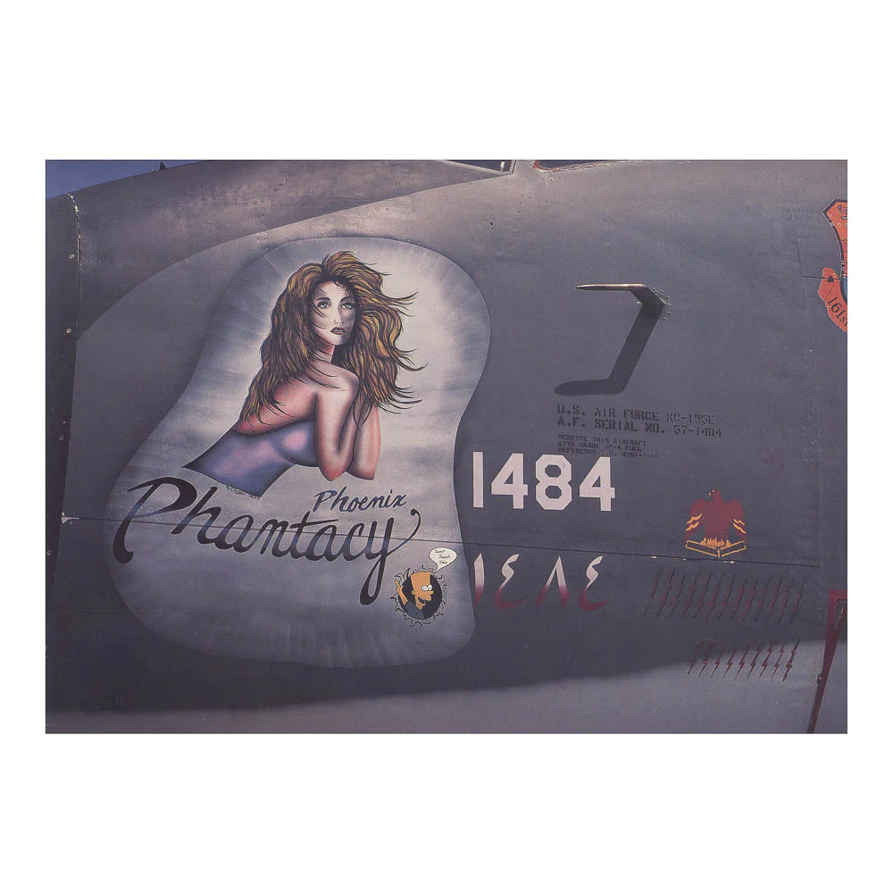 More Painted Ladies - Image 2