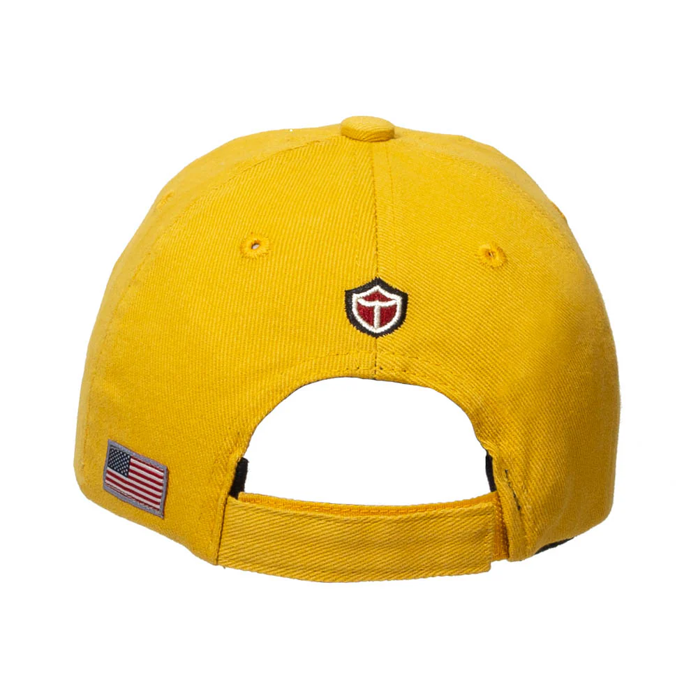 US Air Force Roundel Cap - Image 4